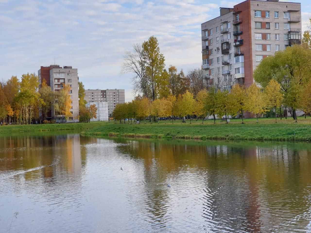 река дачная санкт петербург